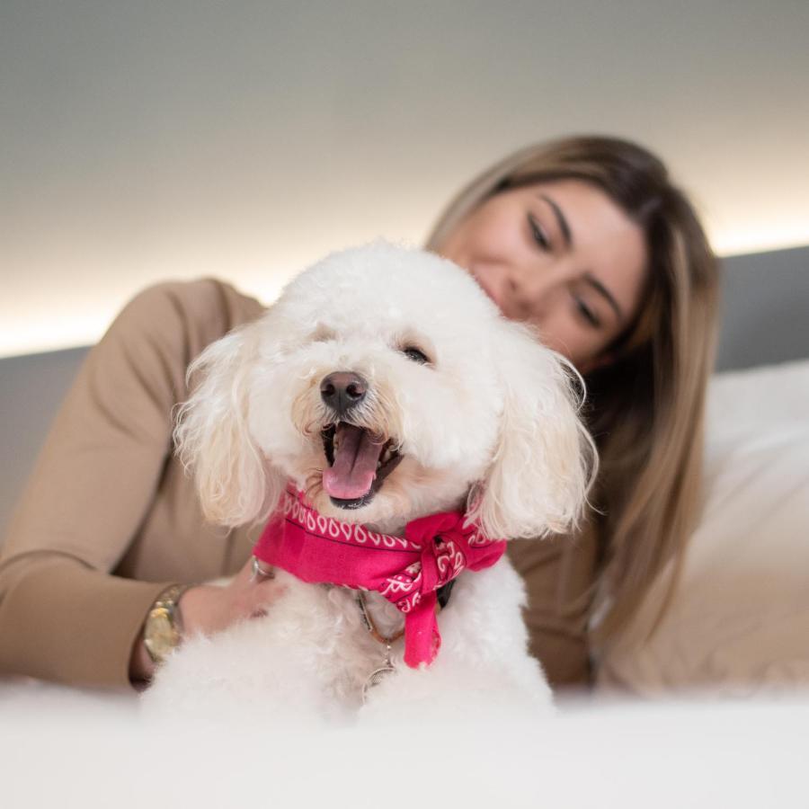 Arryvo Hotel Lecce Bagian luar foto
